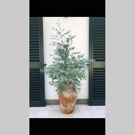 Casa Pietra Salata بيت للعطل